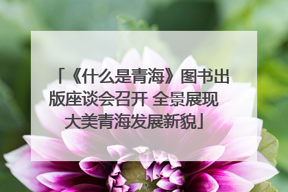 《什么是青海》图书出版座谈会召开 全景展现大美青海发展新貌