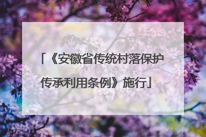 《安徽省传统村落保护传承利用条例》施行