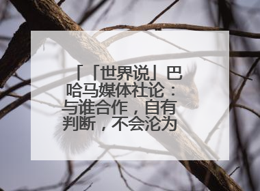 「世界说」巴哈马媒体社论：与谁合作，自有判断，不会沦为“权力游戏”