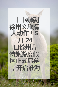 「劲爆」徐州文旅搞大动作！5 月 24 日徐州方特旅游度假区正式启幕，开启淮海旅游新篇章