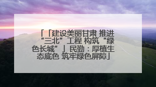 「建设美丽甘肃 推进“三北”工程 构筑“绿色长城”」民勤：厚植生态底色 筑牢绿色屏障