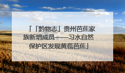 「黔物志」贵州芭蕉家族新增成员——习水自然保护区发现黄苞芭蕉