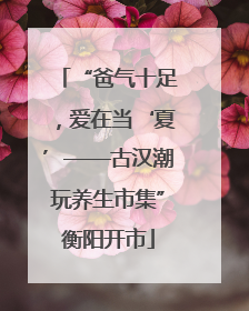 “爸气十足，爱在当‘夏’——古汉潮玩养生市集”衡阳开市