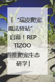 “瑞皮爬宠魔法驿站” 启幕！REPTIZOO 首推爬宠生态研学