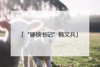“硬核书记”韩文兵