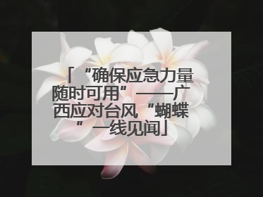 “确保应急力量随时可用”——广西应对台风“蝴蝶”一线见闻