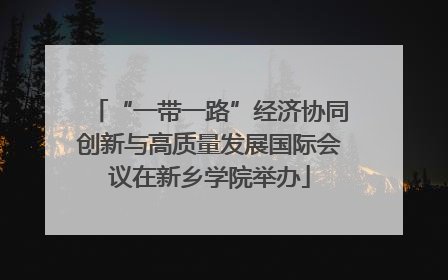 “一带一路”经济协同创新与高质量发展国际会议在新乡学院举办