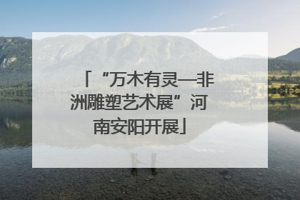 “万木有灵—非洲雕塑艺术展”河南安阳开展