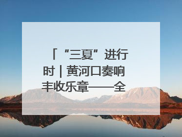 “三夏”进行时｜黄河口奏响丰收乐章——全市小麦进入大面积收获高峰期