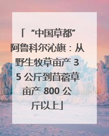 “中国草都” 阿鲁科尔沁旗：从野生牧草亩产 35 公斤到苜蓿草亩产 800 公斤以上