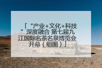 “产业+文化+科技”深度融合 第七届九江国际名茶名泉博览会开幕（组图）