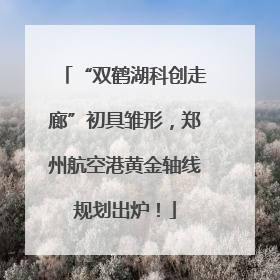 “双鹤湖科创走廊”初具雏形，郑州航空港黄金轴线规划出炉！