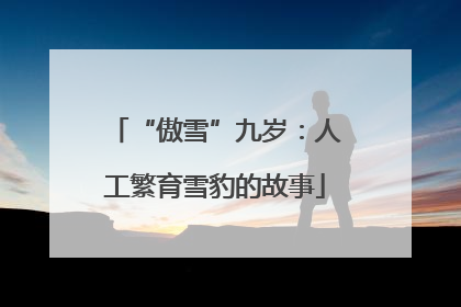 “傲雪”九岁：人工繁育雪豹的故事