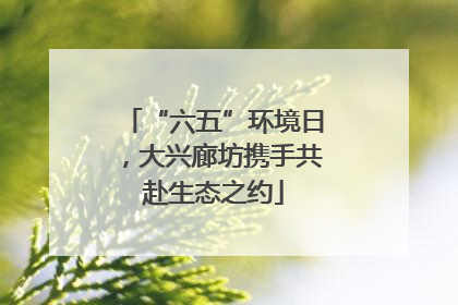 “六五”环境日，大兴廊坊携手共赴生态之约