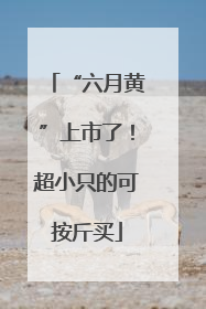 “六月黄”上市了！超小只的可按斤买