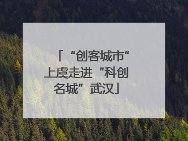 “创客城市”上虞走进“科创名城”武汉