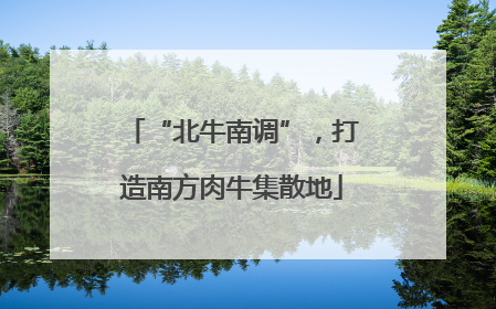 “北牛南调”，打造南方肉牛集散地