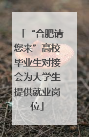 “合肥请您来”高校毕业生对接会为大学生提供就业岗位
