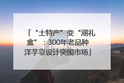 “土特产”变“潮礼盒”：300年老品种洋芋靠设计突围市场