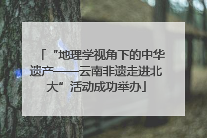 “地理学视角下的中华遗产——云南非遗走进北大”活动成功举办