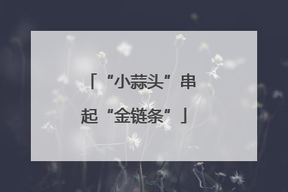 “小蒜头”串起“金链条”