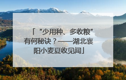 “少用种、多收粮”有何秘诀？——湖北襄阳小麦夏收见闻