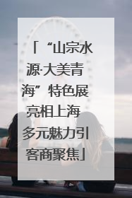 “山宗水源·大美青海”特色展亮相上海 多元魅力引客商聚焦