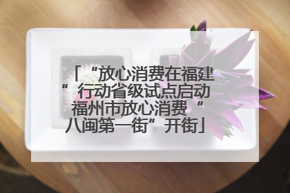 “放心消费在福建”行动省级试点启动 福州市放心消费“八闽第一街”开街