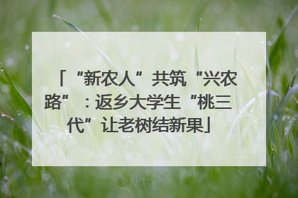 “新农人”共筑“兴农路”：返乡大学生“桃三代”让老树结新果