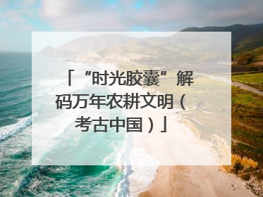“时光胶囊”解码万年农耕文明（考古中国）