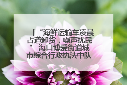 “海鲜运输车凌晨占道卸货，噪声扰民” 海口博爱街道城市综合行政执法中队：将联合交警加强长堤路一带巡逻