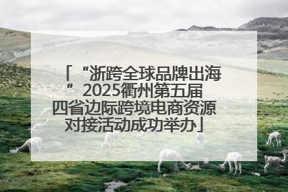 “浙跨全球品牌出海”2025衢州第五届四省边际跨境电商资源对接活动成功举办