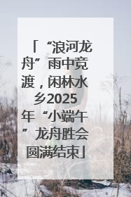 “浪河龙舟”雨中竞渡，闲林水乡2025年“小端午”龙舟胜会圆满结束