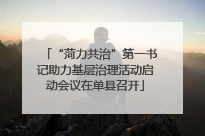 “菏力共治”第一书记助力基层治理活动启动会议在单县召开