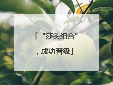 “莎头组合”，成功晋级