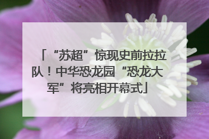 “苏超”惊现史前拉拉队！中华恐龙园“恐龙大军”将亮相开幕式