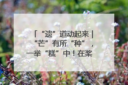 “遗”道动起来｜“芒”有所“种”，一举“糕”中！在桨影拳风里，邂逅最“动”人的风景！（内含报名信息）