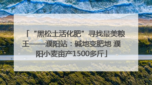 “黑松土活化肥”寻找最美粮王——濮阳站：碱地变肥地 濮阳小麦亩产1500多斤