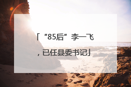 “85后”李一飞，已任县委书记