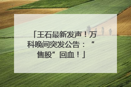 王石最新发声！万科晚间突发公告：“售股”回血！