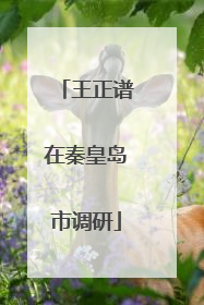 王正谱在秦皇岛市调研