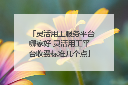 灵活用工服务平台哪家好 灵活用工平台收费标准几个点