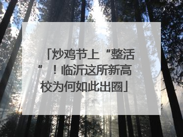 炒鸡节上“整活”！临沂这所新高校为何如此出圈