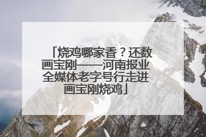 烧鸡哪家香？还数画宝刚——河南报业全媒体老字号行走进画宝刚烧鸡