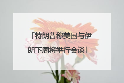 特朗普称美国与伊朗下周将举行会谈
