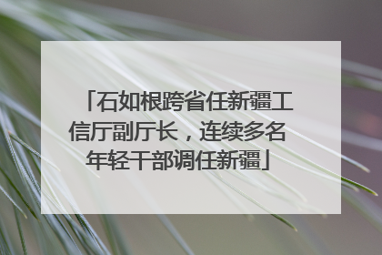 石如根跨省任新疆工信厅副厅长，连续多名年轻干部调任新疆