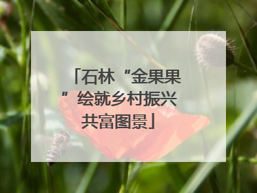 石林“金果果”绘就乡村振兴共富图景