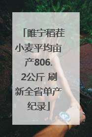 睢宁稻茬小麦平均亩产806.2公斤 刷新全省单产纪录