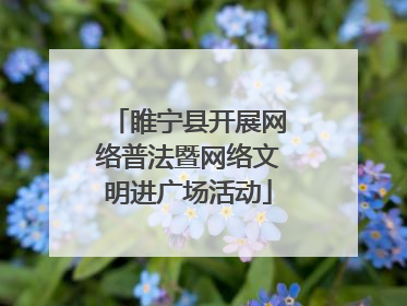 睢宁县开展网络普法暨网络文明进广场活动