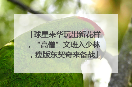 球星来华玩出新花样，“高僧”文班入少林，瘦版东契奇来备战